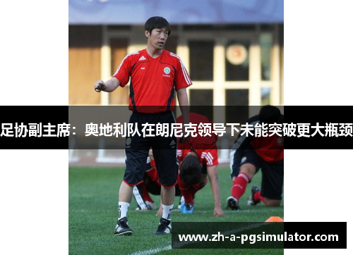 足协副主席：奥地利队在朗尼克领导下未能突破更大瓶颈