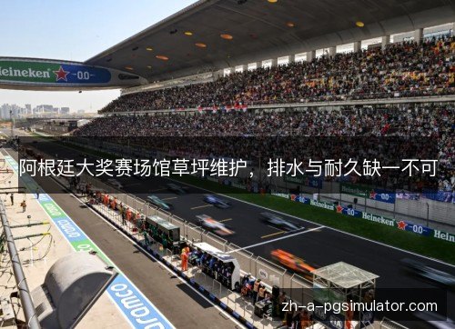 阿根廷大奖赛场馆草坪维护，排水与耐久缺一不可