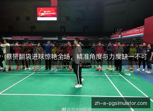 蔡赟翻袋进球惊艳全场，精准角度与力度缺一不可